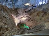 17 Carlsbad Caverns 04